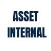 Asset Internal (Asset Internal)