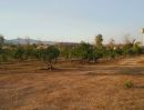ขายที่ดิน - ขายสวนมะม่วง 5,000 ต้น ลำไย 400 ต้น พร้อมบ้านและโกดัง ดอยหล่อ เชียงใหม่