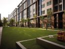 ให้เช่าคอนโด - ให้เช่า คอนโด ดีคอนโด แคมปัส รีสอร์ท บางนา ใกล้ ม.เอแบค บางนา (dcondo Campus Resort Bangna) 30 ตร.ม ชั้น 5 ตึก E เพียง 9000 บาทต่อเดือน