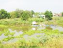 ขายบ้าน - ขายบ้านริมแม่น้ำลพบุรี พร้อมสระว่ายน้ำส่วนตัว อ.บางปะหัน จ.พระนครศรีอยุธยา