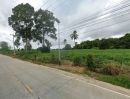 ขายที่ดิน - ขายที่ดินแปลงสวย หุบบอนศรีราชา 96ไร่ ติดถนนคอนกรีต ที่สวยไม่ต้องถม ราคาถูก