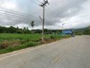 ขายที่ดิน - ขายที่ดินแปลงสวย หุบบอนศรีราชา 96ไร่ ติดถนนคอนกรีต ที่สวยไม่ต้องถม ราคาถูก