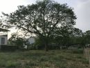ขายที่ดิน - ขายที่ดินตำบลสุเทพห่างวัดร่ำเปิงเพียง 200เมตรพร้อมโอน