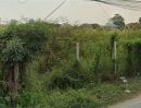 ขายที่ดิน - ขายที่ดิน 11 ไร่กว่าๆ ทำเลดี ใกล้ถนนราชพฤกษ์ ใกล้หมู่บ้านจัดสรรหลายแบรนด์