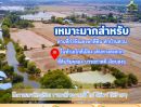 ขายที่ดิน - ขายที่ดินฉะเชิงเทราติดคลอง เจ้าของขายเอง ในทำเลชานเมืองใกล้กรุงเทพฯ