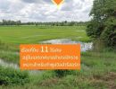 ขายที่ดิน - ขายที่ดินในตัวอำเภอจักราชติดถนนน้ำไฟเข้าถึง