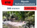 ขายที่ดิน - ขายที่ดินสวย ติดลำธารน้ำตกเเม่กลาง อ.จอมทอง จ.เชียงใหม่