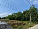 ขายที่ดิน - ขายที่ดินถมแล้ว 2-1-79 ไร่ ถ.เรียบคลองบางโพธิ์ใต้ ทำเลดีติดถนนกาญจนาภิเษก บางหลวง ปทุมธานี