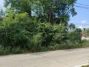 ขายที่ดิน - ขายที่ดินถมแล้ว 2-1-79 ไร่ ถ.เรียบคลองบางโพธิ์ใต้ ทำเลดีติดถนนกาญจนาภิเษก บางหลวง ปทุมธานี