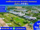 ขายที่ดิน - ขายถูกมาก!! ที่ดินทำเลทอง 8-3-51 ไร่ ซอยมาบยางพร 16 บ่อวิน-ปลวกแดง จ.ระยอง ใกล้นิคมหลายแห่ง