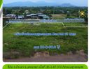 ขายที่ดิน - ที่ดินติดถนนสุวรรณศร อ.บ้านนา จ.นครนายก เนื้อที่ 30-3-87.0 ไร่ มีอนาคตแน่นอน