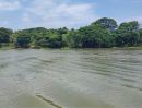 ขายที่ดิน - ขายที่ดินเปล่าทำเลทองติดริมแม่น้ำเจ้าพระยา ต.บ้านโพธิ์ อ.บางปะอิน จ.อยุธยา