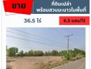 ขายที่ดิน - ขายที่ดินพร้อมสวนมะนาวในพื้นที่ 36.5 ไร่ ต.ป่าหวาย อ.สวนผึ้ง จ.ราชบุรี