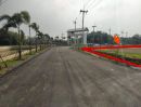 ขายที่ดิน - ขายที่ดินนาวังหิน 7 ไร่ ซอยพรประภานิมิตร5ใกล้ตลาดสดพนัสนิคม5กม. อ.พนัสนิคม ชลบุรี
