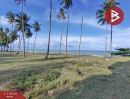 ขายที่ดิน - ขายที่ดินติดทะเล ( แปลงที่ 1 ) เนื้อที่ 10-1-4.0 ตร.วา อ.ท่าศาลา นครศรีธรรมราช