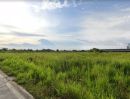 ขายที่ดิน - ขายที่ดิน 29-1-58 ไร่ บ้านบึง ชลบุรี เพียง 95 ล้านบาท ทำเลธุรกิจดี อยู่แหล่งเศรษฐกิจ EEC ใกล้สนามกีฬาบ้านบึง