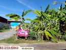 ขายที่ดิน - ที่ดินทวีวัฒนา 93.9 ตร.ว. ซ.พุทธมณฑล 27 ใกล้พุทธมณฑล สาย 2