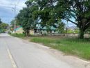 ขายที่ดิน - ขายที่ดินตำบลสันผักหวานติดถนนทำเลดีค้าขายได้พร้อมโอน