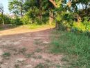 ขายที่ดิน - ขายที่ดินตำบลสันผักหวานติดถนนทำเลดีค้าขายได้พร้อมโอน