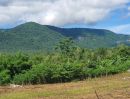 ขายที่ดิน - ขายที่ดินเขาใหญ่ ซอยพระตำหนักพิมานวิวเขาสวยสะดุดตา