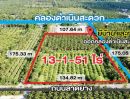 ขายที่ดิน - ขายที่ดินดำเนินสะดวก ราชบุรี แปลงสวย ออกคลองดำเนินสะดวกได้
