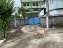 ขายที่ดิน - ที่ดินเปล่า ( มีบ้าน 1 หลัง จะเอาหรือไม่เอาก็ได้ ) บนถนนเทพารักษ์ เมือง สมุทรปราการ ติดถนนน 2 ซอย