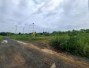 ขายที่ดิน - ขายที่ดินคลอง 11 ซอยปลายนาร่วมฤดี 1 ใกล้วัดป่าคลอง11 หนองเสือ ปทุมธานี