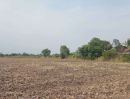 ขายที่ดิน - ขายที่ดินเปล่าถมแล้ว 4 ไร่ พร้อมโฉนด ที่ดินสวยบรรยากาศดี ถ.เลียบคลองตับผักชี ลาดหลุมแก้ว ปทุมธานี
