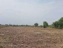 ขายที่ดิน - ขายที่ดินเปล่าถมแล้ว 4 ไร่ พร้อมโฉนด ที่ดินสวยบรรยากาศดี ถ.เลียบคลองตับผักชี ลาดหลุมแก้ว ปทุมธานี