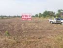 ขายที่ดิน - ขายที่ดินเปล่าถมแล้ว 4 ไร่ พร้อมโฉนด ที่ดินสวยบรรยากาศดี ถ.เลียบคลองตับผักชี ลาดหลุมแก้ว ปทุมธานี