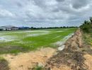 ขายที่ดิน - ขายที่ดิน สมุทรปราการ เหมาะสำหรับสร้างโรงงาน