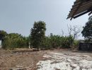 ขายที่ดิน - ที่ดิน เทพรักษ์ ซอย 52 / 2 ไร่ 34 ตารางวา Land Theprak Soi 52 / 3,336 Square Metre