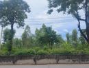 ขายที่ดิน - ขายด่วน ที่ดินติดถนนใหญ่ ราคาถูก คลองสามวา