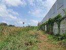 ขายที่ดิน - สร้างโรงงานได้ ที่ดินพร้อมบ้านสวน โซนเจริญ ห้างสรรพสินค้า ทั้งโลตัสและบิ๊กซี