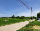 ขายที่ดิน - ขายที่ดินเปล่า (ที่นา) ฉะเชิงเทรา เนื้อที่ 11-3-96ไร่ รูปแปลงสวย ขายถูกๆ ด้านหน้าติดถนนคอนกรีต ยาวประมาณ 135 เมตร โฉนด นส.4 พร้อมโอน