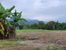 ขายที่ดิน - ขายที่ดินตำบลสุเทพวิวดอยสุเทพติดถนนทำเลดีใกล้สนามบินเชียงใหม่