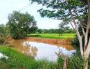 ขายที่ดิน - ที่นา ทำเลดี หน้าติดถนนสายหลัก หลังติดคลอง ราคาถูก