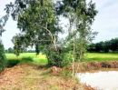ขายที่ดิน - ที่นา ทำเลดี หน้าติดถนนสายหลัก หลังติดคลอง ราคาถูก