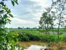 ขายที่ดิน - ที่นา ทำเลดี หน้าติดถนนสายหลัก หลังติดคลอง ราคาถูก