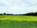ขายที่ดิน - ที่นา ทำเลดี หน้าติดถนนสายหลัก หลังติดคลอง ราคาถูก