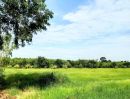 ขายที่ดิน - ที่นา ทำเลดี หน้าติดถนนสายหลัก หลังติดคลอง ราคาถูก
