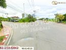 ขายที่ดิน - ที่ดินปากพนัง 213.8 ตร.ว. สี่แยกจมูกควาย นครศรีธรรมราช ใกล้ตลาดย้อนยุคปากพนัง