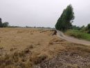 ขายที่ดิน - ขายที่ดินเปล่าในอำเภอบางน้ำเปรี้ยว จังหวัดฉะเชิงเทรา