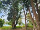 ขายที่ดิน - ขายที่ดินติดทะเลชายหาดทรายขาวน้ำใสในเกาะสมุยใกล้ถนนใหญ่รอบเกาะ