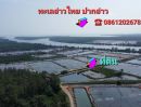 ขายที่ดิน - ขายที่ดินติดแม่น้ำติดทะเลปากอ่าวไทยในจังหวัดสุราษฎร์ธานี 282ไร่