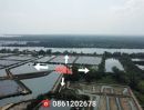 ขายที่ดิน - ขายที่ดินติดแม่น้ำติดทะเลปากอ่าวไทยในจังหวัดสุราษฎร์ธานี 282ไร่