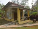 ขายบ้าน - ขายที่ดินพร้อม บ้านไม้สัก (รีสอร์ท) ใกล้ วัดถ้ำผาปล่อง วัดปากเปียง ติด ChiangdaoNestResort