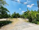 ขายที่ดิน - ขายถูกที่ดินบนถนนคลองหลวง ถนนโยธาธิการคูคต เถนนโยธาธิการคูคต- คลองหลวง ซอยเพิ่มสิน คลองสาม คลองหลวง ปทุมธานี 1.5 ไร่
