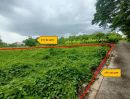 ขายที่ดิน - ที่ดินถมแล้ว แปลงสี่เหลี่ยม ซอยระมาด 15 ใกล้ถนนพุทธมาณฑลสาย 1 และถนนกาญจนาภิเษก