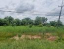 ขายที่ดิน - ขายที่ดินเปล่าขนาด 3 ไร่ 1 งาน 55 ตร.ว. ตำบลบางอ้อ อำเภอบ้านนา นครนายก